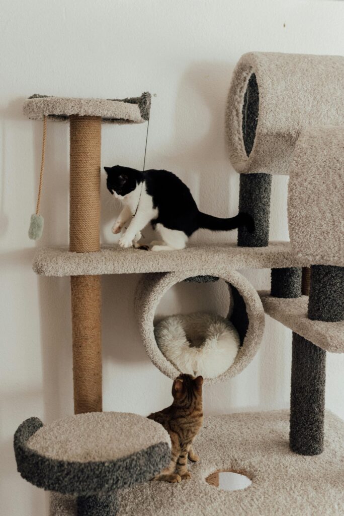 Cat Trees Mobile Menu
