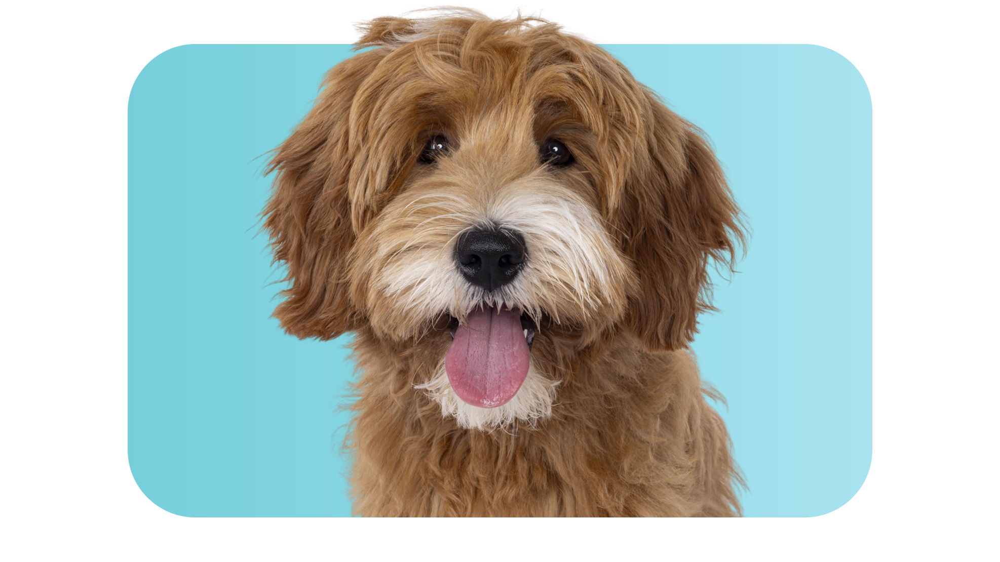 Your Customers Trust Your Advice