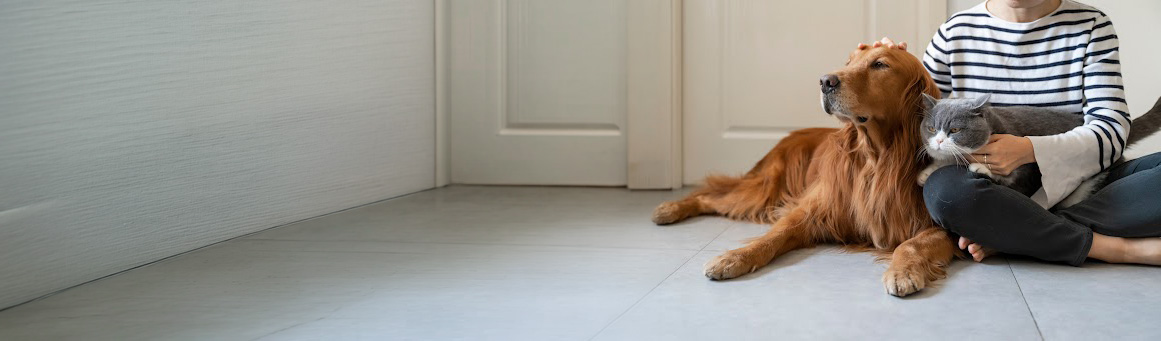 Trusted by Retailers. Chosen by Pet Parents.